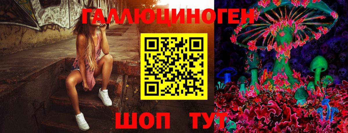 Галлюциногенные грибы Cubensis  Вход с VPN  Менделеевск 