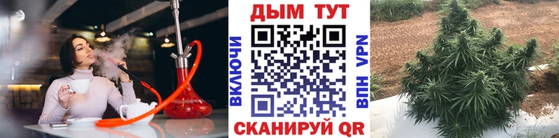 Шишки марихуана марихуана  blacksprut ONION  Менделеевск 