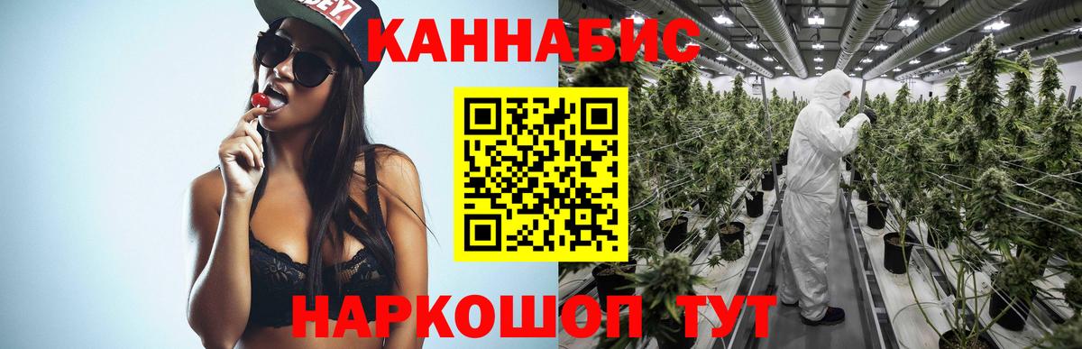 Конопля гибрид Менделеевск